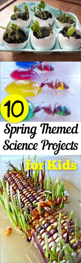 10 Spring Themed Science Projects for Kids – My List of Lists