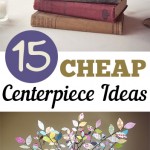 15 CHEAP Centerpiece Ideas
