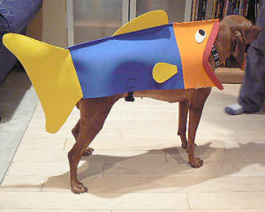 13 Hilarious Pet Costumes