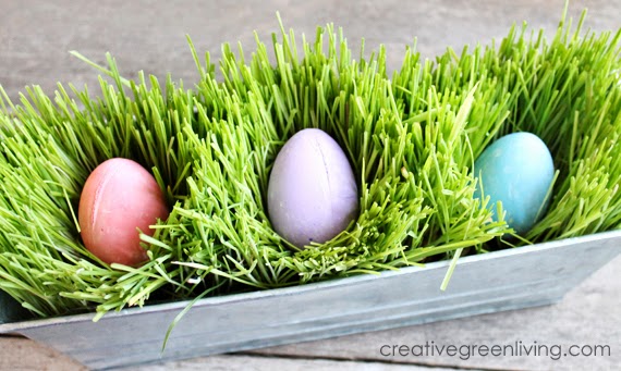 How to Grow Your Own Easter Grass