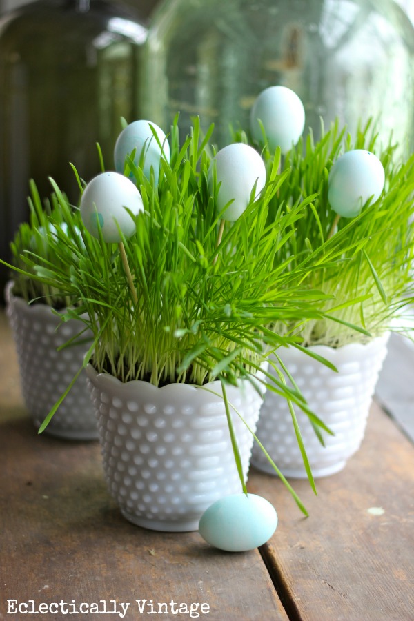 Grow Your Own Easter Grass