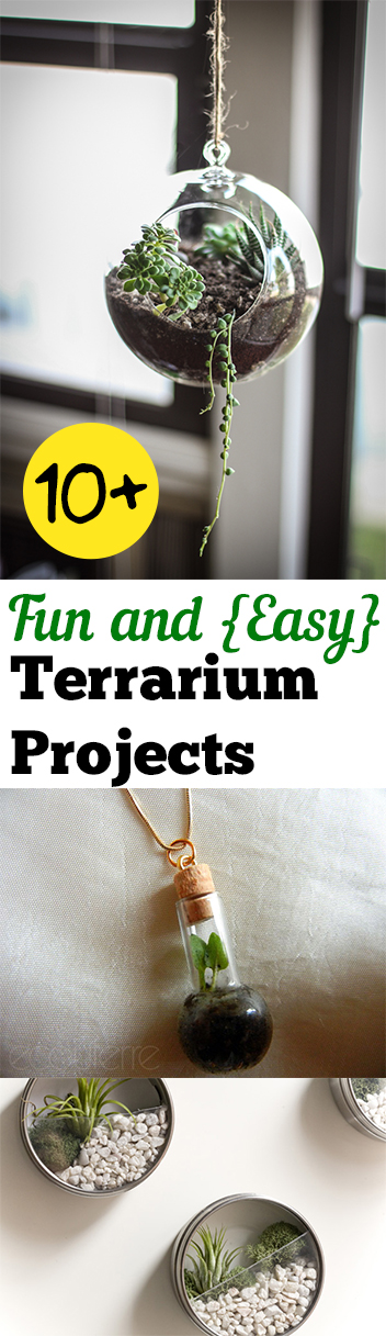 10+ Fun and {Easy} Terrarium Projects