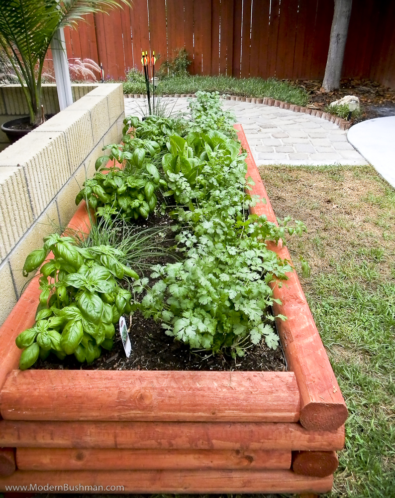 Raised garden beds, how to build raised garden beds, gardening, gardening hacks, outdoor living, DIY raised garden beds, Easy DIY Raised Garden Bed
