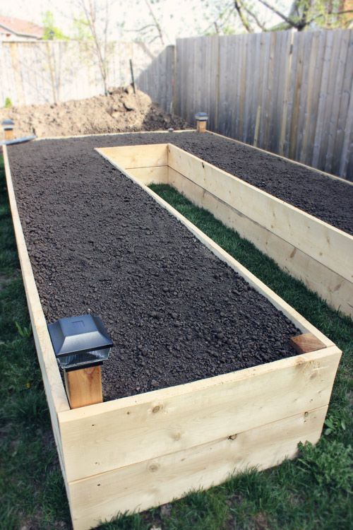Easy Diy Raised Garden Bed Beds, How To Make A High Garden Box