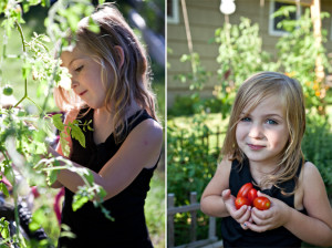 Gardening, home garden, garden hacks, garden tips and tricks, growing tomatoes, how to grow tomatoes, tomato growing hacks, growing plants, gardening DIYs, gardening crafts, popular pin.