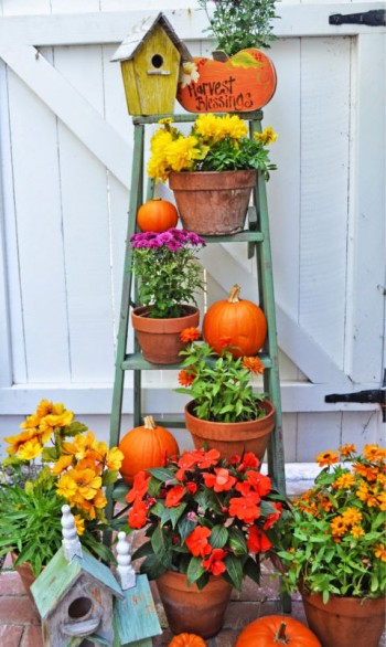 15 Beautiful Ways to Decorate Your Porch This Fall9