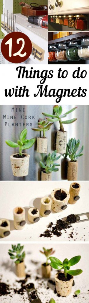 Magnets, Things to Do With Magnets, Home Organization, Home Organization Hacks, DIY Home, Popular Pin.
