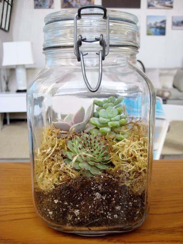 terrarium-in-jar-gift-for-green-thumbed-loved-ones