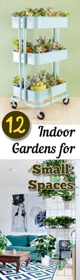 12 Indoor Gardens for Small Spaces - My List of Lists