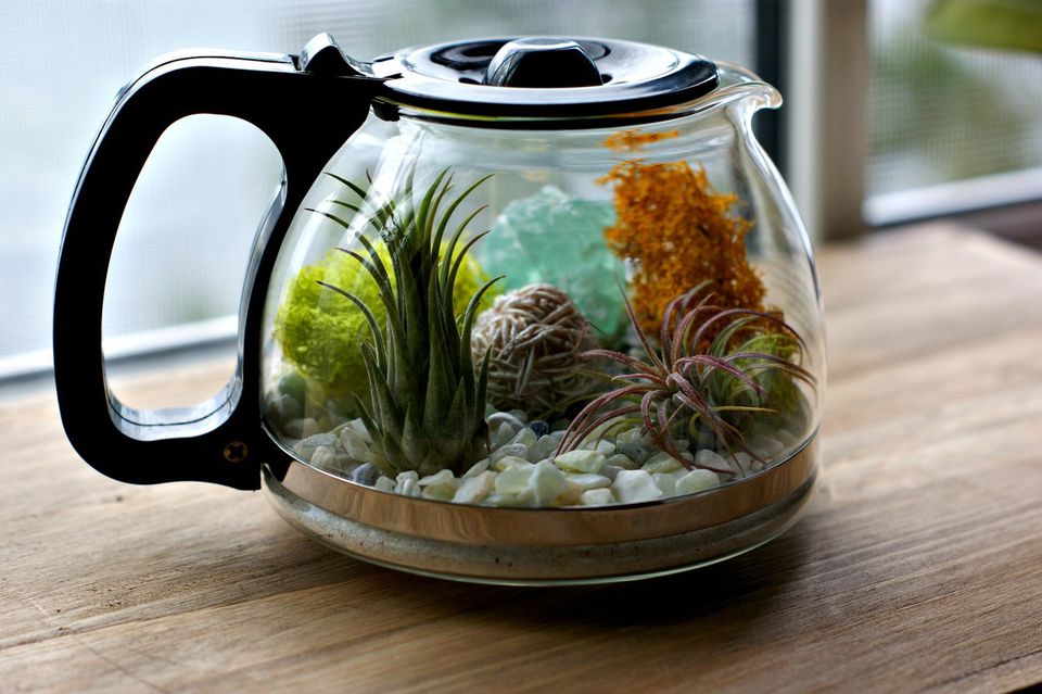 12 Affordable Terrariums You Can DIY Yourself| Terrariums, DIY Terrarium, Terrarium Projects, Indoor Gardening, Indoor Gardening Tips, DIY Gardening Projects, DIY Terrarium, Make Your Own Terrarium #DIYTerrarium #IndoorGarden #Home