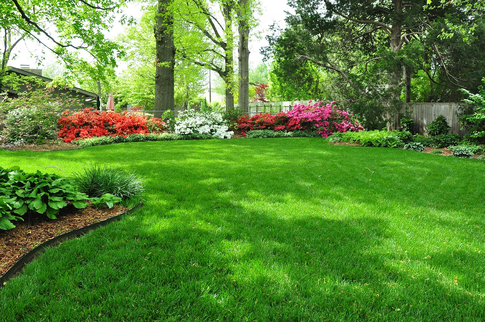 Make Your Yard Look AMAZING With This Hack My List of Lists
