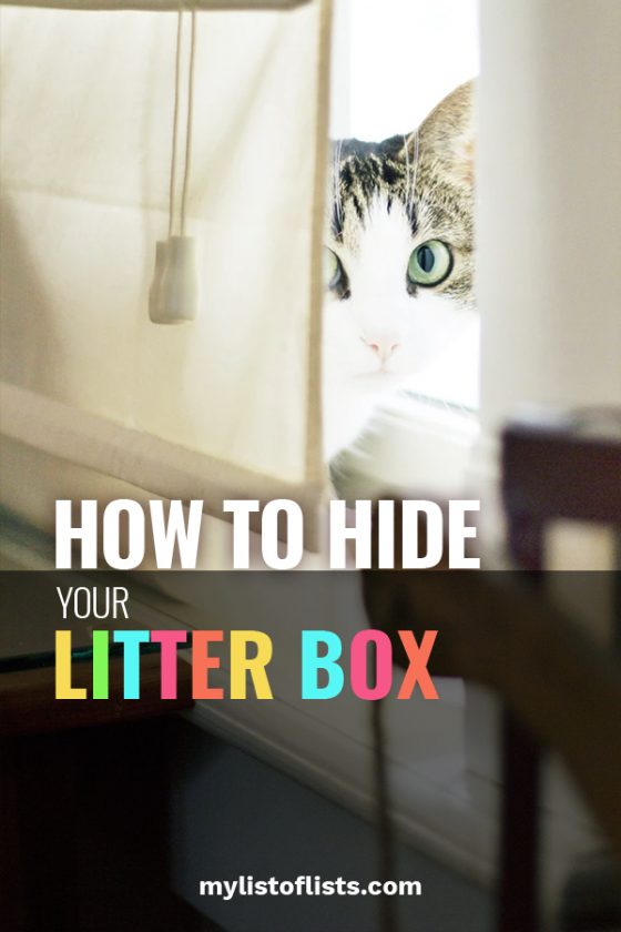 How To Hide Your Litter Box My List Of Lists   How To Hide Your Litter Box 2 560x840 