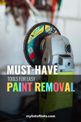 Must-Have Tools for Easy Paint Removal - My List of Lists