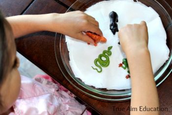 Edible Science Projects - Sprout Garden