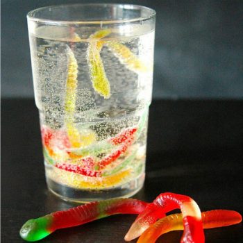 Edible Science Projects - Dancing Gummy Worms