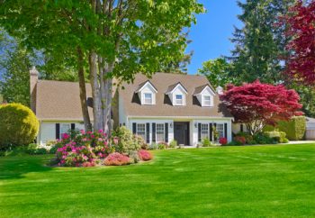 Here are some great curb appeal landscape ideas that are easy. No need to bust your back to make your home attractive to those driving by. My list of lists offers easy landscape ideas to be the house on the street with beautiful landscape.