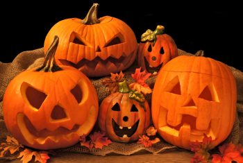 Pumpkin Carving Ideas | Pumpkin Carving Ideas for the Whole Family | Family Friendly Pumpkin Carving Ideas | Pumpkin Carving | Halloween