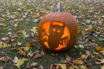 Pumpkin Carving Ideas | Pumpkin Carving Ideas for the Whole Family | Family Friendly Pumpkin Carving Ideas | Pumpkin Carving | Halloween