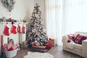 Perfect Christmas Tree | How to Pick the Perfect Christmas Tree | Christmas Tree | Picking a Christmas Tree | Tips and Tricks to Pick the Perfect Christmas Tree | How To Pick A Christmas Tree