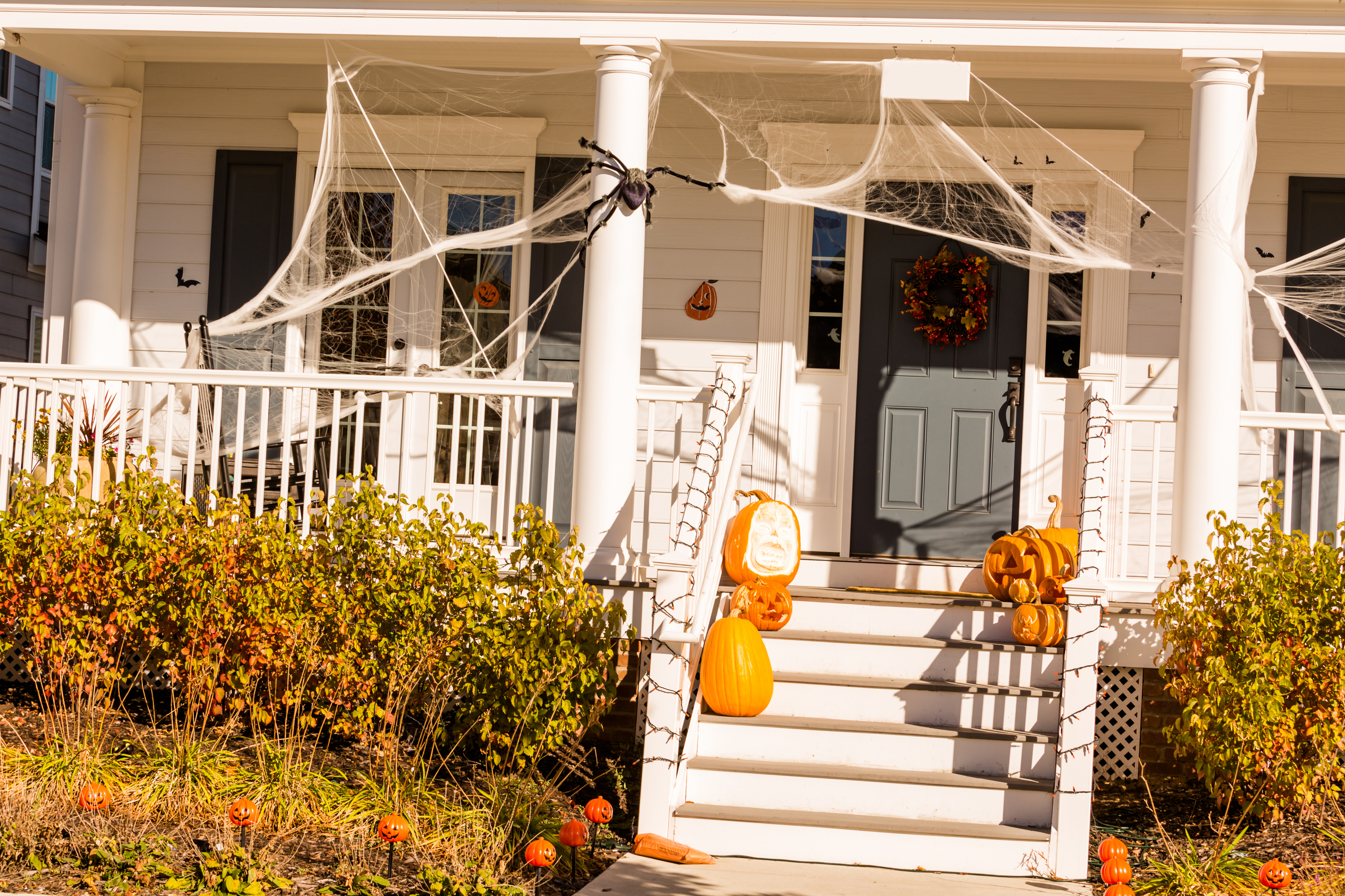 Pumpkins, spider webs, halloween decor