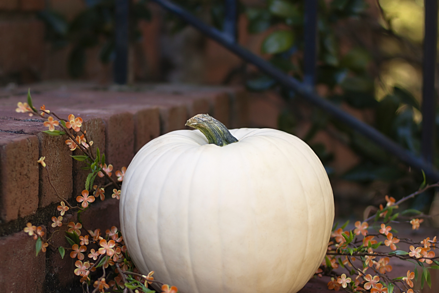 Pumpkin on a porchHalloween porch | Halloween porch decorating | porch | porch decor | Halloween | Halloween decor | fall 