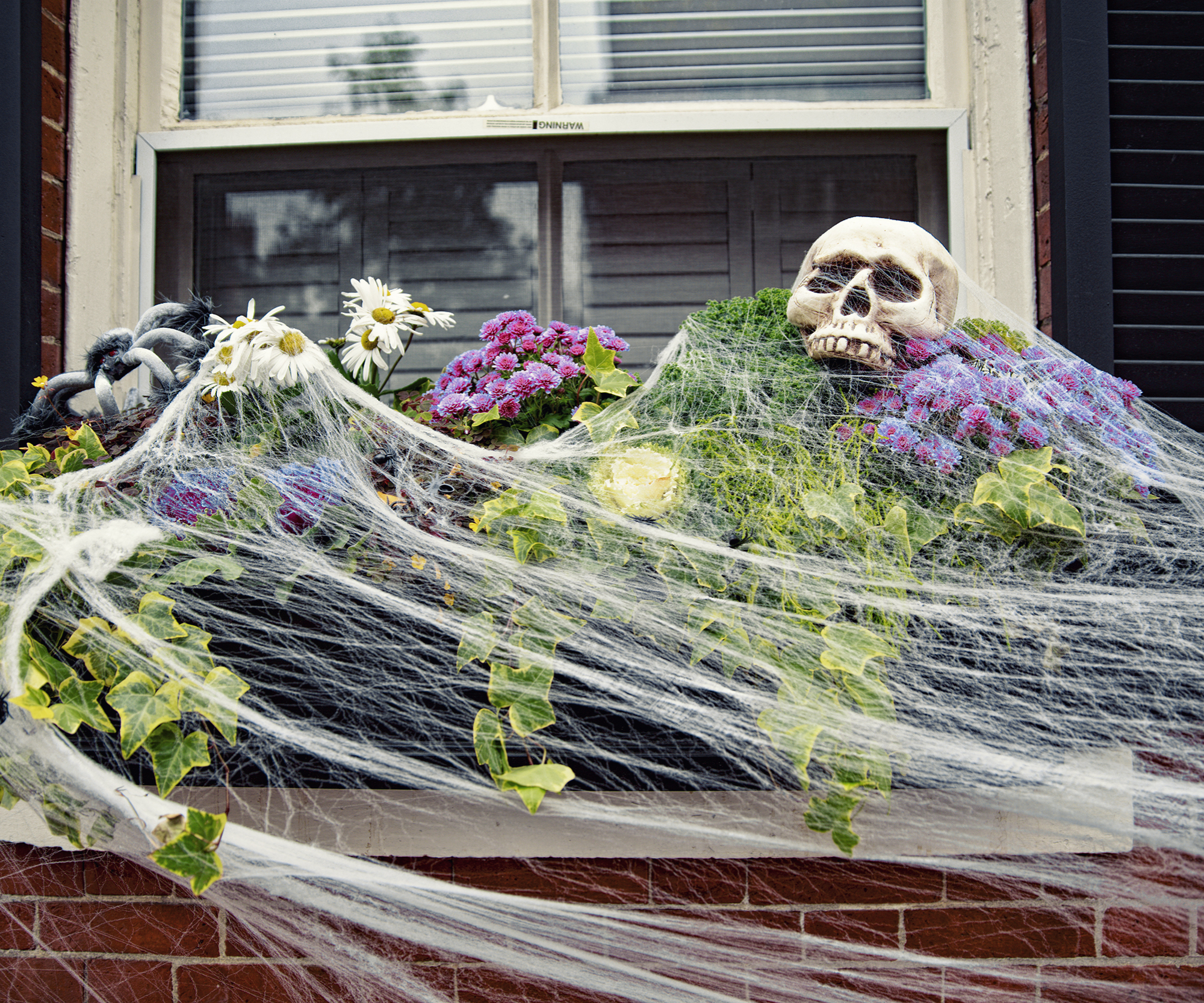 Scary Window boxes for Halloween