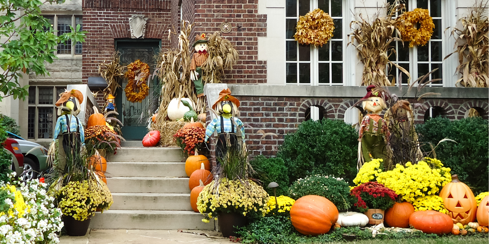 Fall/Halloween decor for your yard, house and porch.