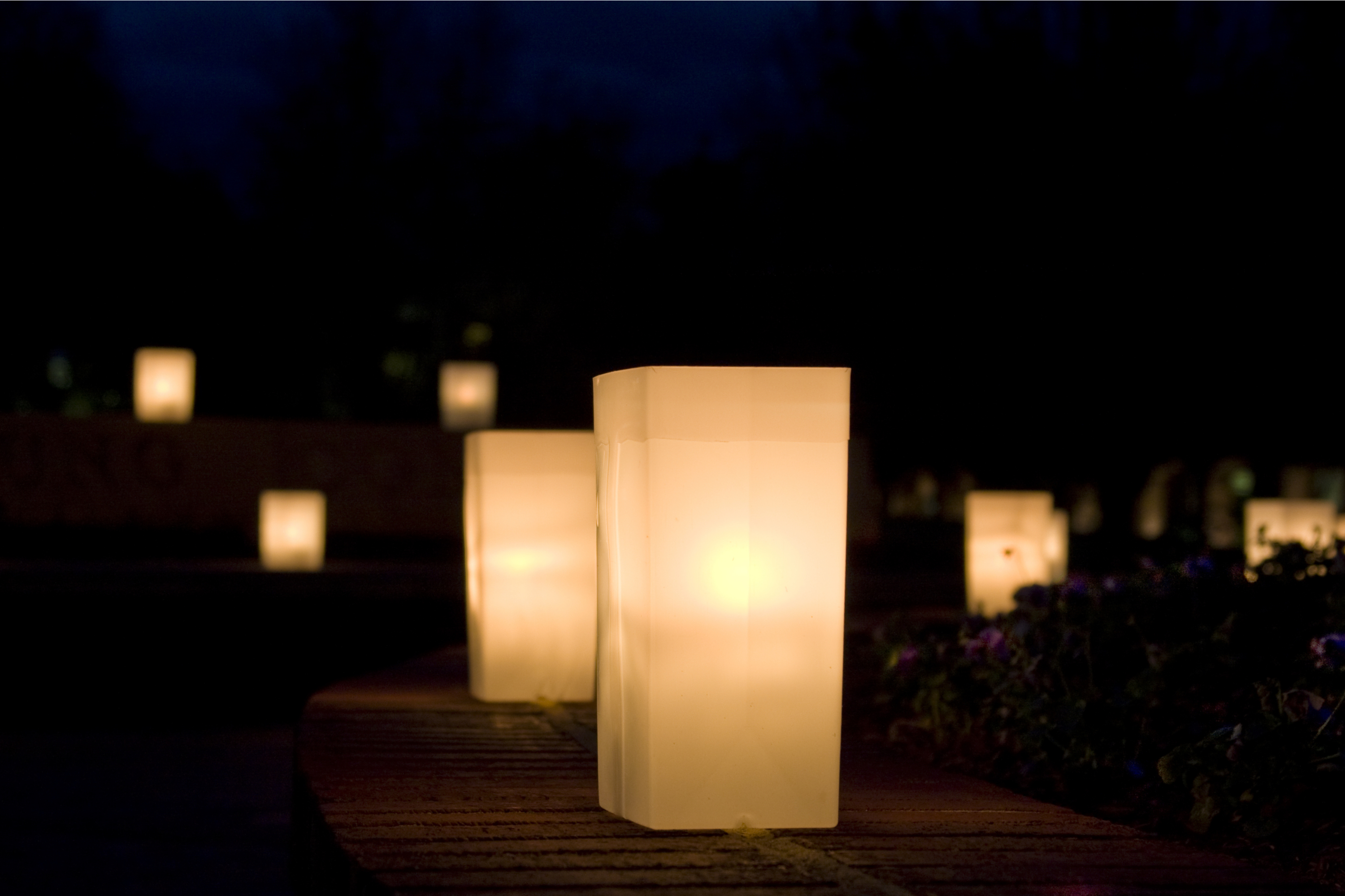 Christmas Luminaries To Light Up Your Holiday Spirit