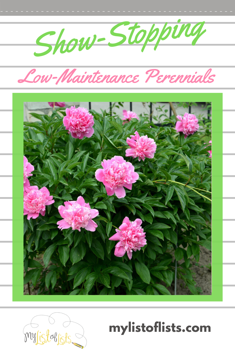 Low maintenance perennials are the way to go when landscaping. Like other perennials, they return each year filling your yard with color and texture but they require very little in care. If you like lush landscaping, but not so much the work involved in maintaining it, read this post for a list of perennials that will become your best friends. #landscapeideas #perennials #lowmaintenanceperennials